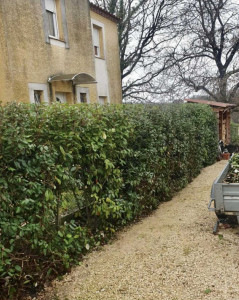 Photo de galerie - Jardinier