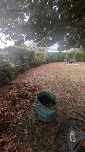 Photo de galerie - Le ramassage de feuilles est compatible avec l'avance immédiate au crédit d'impôt. ne payé que 50% de la facture! 