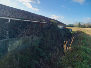 Photo de galerie - Très gros roncier entre garage clôture et le fossé