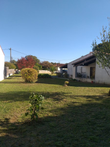 Photo de galerie - Taille de haies et d'arbustes