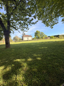 Photo de galerie - Tonte jardin 