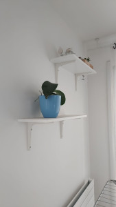 Photo de galerie - Pose de deux tablettes murale.