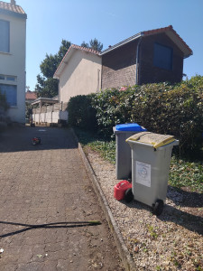 Photo de galerie - Taille  de haie 