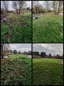 Photo de galerie - Remise en état d'un terrain suite au passage de sangliers.