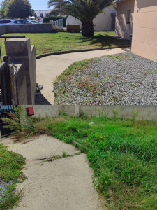 Photo de galerie - Avant/Après 