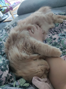 Photo de galerie - Garde de Yaro pour la période Mars 2025