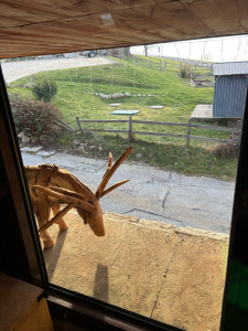 Photo de galerie - Nettoyeur de vitres