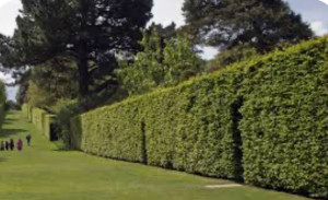 Photo de galerie - .