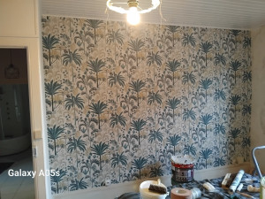 Photo de galerie - Pose papier peint 