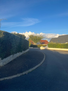 Photo de galerie - Taille de 60m de haie