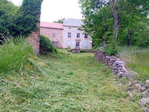 Photo de galerie - Débroussaillage d'une propriété 