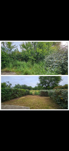 Photo de galerie - Débroussaillage et taille des haies