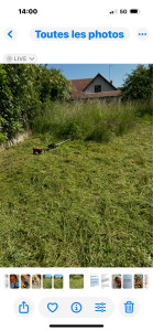 Photo de galerie - Entretien jardin 