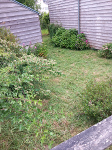 Photo de galerie - âpres 