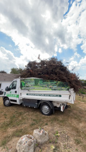 Photo de galerie - Elagage et coupe d'arbres