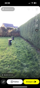 Photo de galerie - Taille de haies et d'arbustes