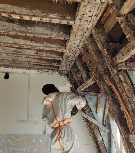 Photo de galerie - Charpente