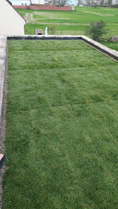 Photo de galerie - Pose gazon pour isolation garage 