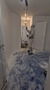 Photo de galerie - Faut plafond, doublage des murs plus mise à peinture avec pistolet de peinture airless 