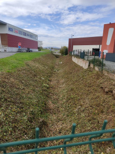 Photo de galerie - Tonte de pelouse - Débroussaillage