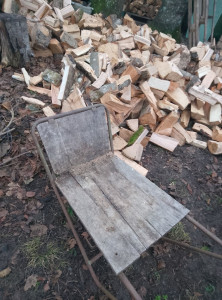 Photo de galerie - Elagage et coupe d'arbres