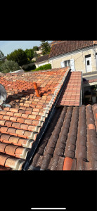 Photo de galerie - Les mouchette 