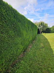 Photo de galerie - Paysagiste - Aménagement du jardin