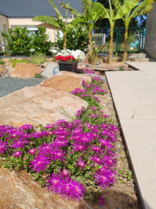 Photo de galerie - Jardinier