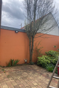 Photo de galerie - Elagage et coupe d'arbres