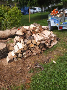 Photo de galerie - Façonnage et abattage de bois de chauffage que j'ai réalisé