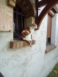 Photo de galerie - Garde animaux