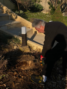 Photo de galerie - Taille tronconneuse