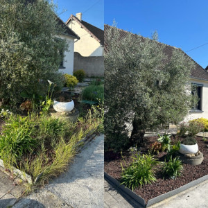 Photo de galerie - Désherbage et arrachage des racines