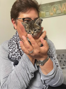 Photo de galerie - Les animaux font partie de mon quotidien depuis toujours, une passion qui me tient particulièrement à cœur