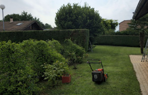 Photo de galerie - Taille de haie et tonte de pelouse 