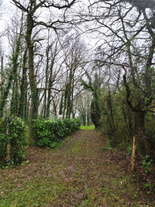 Photo de galerie - Allée d'accès dégagée ! 