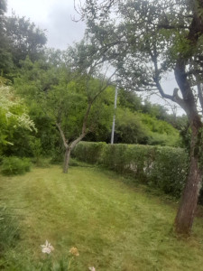 Photo de galerie - Tonte de pelouse - Débroussaillage