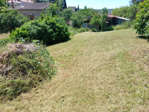 Photo de galerie - Au  départ :
herbe 80 cm à 1 m de hauteur 