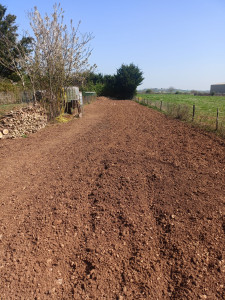 Photo de galerie - Terrain qui était en friche


