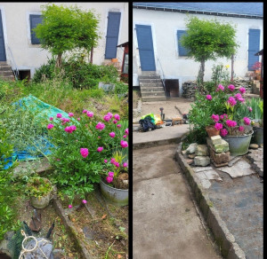 Photo de galerie - Remise en état débroussaillage et nettoyage taille