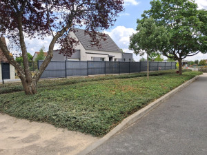 Photo de galerie - Taille d un massif 