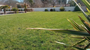 Photo de galerie - Tonte client CESU sur Mios avec entretien régulier 