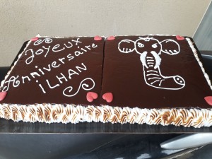 Photo de galerie - Gâteau d'anniversaire au chocolat et meringue italienne