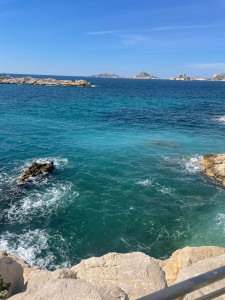 Photo de galerie - Interventions dans Marseille dans les arrondissements : 4-5-6-7-8-11-12 