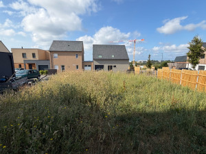 Photo de galerie - Sous traitance: avant débroussaillage de terrain et désherbage 