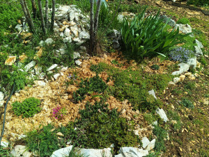 Photo de galerie - Paysagiste - Aménagement du jardin