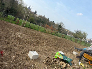 Photo de galerie - Aménagement du terrain 400m2 + semis ? 
