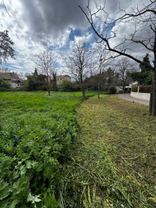 Photo de galerie - Travail de défrichage le long d’une allée en retirant la végétation dense et envahissante. Le résultat : un espace propre, net et accessible.