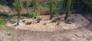 Photo de galerie - Réalisation de massif 