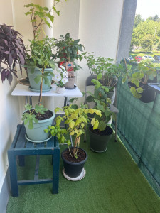 Photo de galerie - Paysagiste - Aménagement du jardin